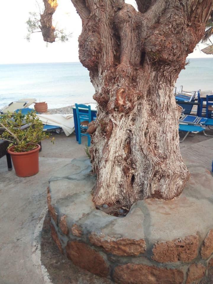 Beachfront Apartment Kato Káto Zákros Εξωτερικό φωτογραφία
